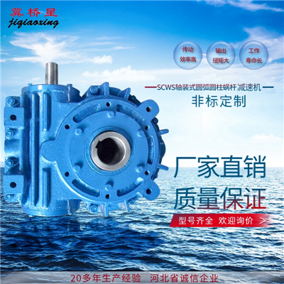 SCWS減速機-軸裝式減速機安裝尺寸圖片-SCW軸裝式圓弧圓柱蝸桿減速機