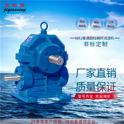 WXJ減速機(jī)-WSJ減速機(jī)