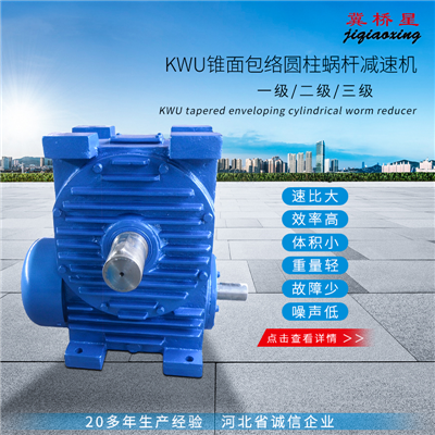錐面包絡蝸桿減速機-KW系列錐面包絡蝸桿減速機