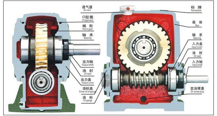 蝸輪蝸桿減速機結(jié)構(gòu)圖